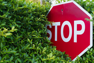 The stop sign is obscured by trees, making it difficult to see while driving