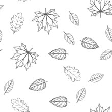 Seamless Pattern With Leaves In Line Style. Maple, Oak, Birch, Alder Leaves. Plants Of The Middle Zone. Vector Isolated On White Background.