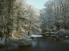River And Trees In The Snow