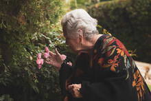 Senior Female With Roses In Garden