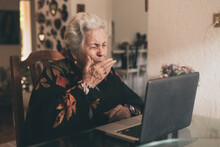 Aged Woman Talking With Relatives At Laptop