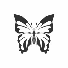Artistic Wing And Body Butterfly Image Graphic Icon Logo Design Abstract Concept Vector Stock. Can Be Used As A Symbol Related To Animal Or Monogram