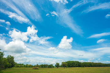 Wall Mural - blue sky and white clouds.