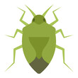 Flat color icon for stink bug.