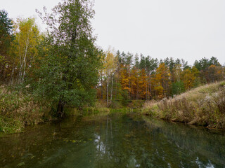 Wall Mural - Autumn forest trees are reflected in the river. River in autumn forest. Forest river in autumn