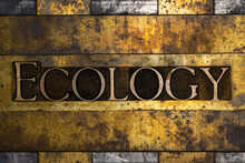Ecology Text On Vintage Textured Copper And Gold Background