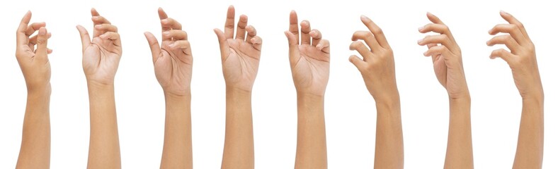 Set of woman hands isolated on white background.