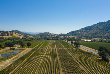 Wall Mural - Drone view of a winery in Napa Valley, California