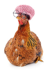 Canvas Print - Chicken with glasses and beret.