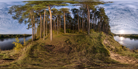Wall Mural - hdri 360 panorama  on high sandy beach of wide river in pinery forest in autumn evening in equirectangular seamless spherical projection, ready for AR VR virtual reality content