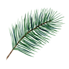 bright green watercolor coniferous branch illustration for new year greeting cards and banner decor