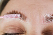 Cosmetic Procedure For Laminating Eyebrows