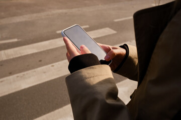 Wall Mural - woman looks at a smartphone while crossing the road. the pedestrian does not follow the road rules. 