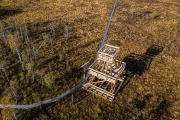 Poster - Aerial view of wooden watching tower in Vasenieki marsh, Latvia. Sunny evening.