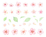 Fototapeta Kosmos - 桜の花の水彩イラスト素材
