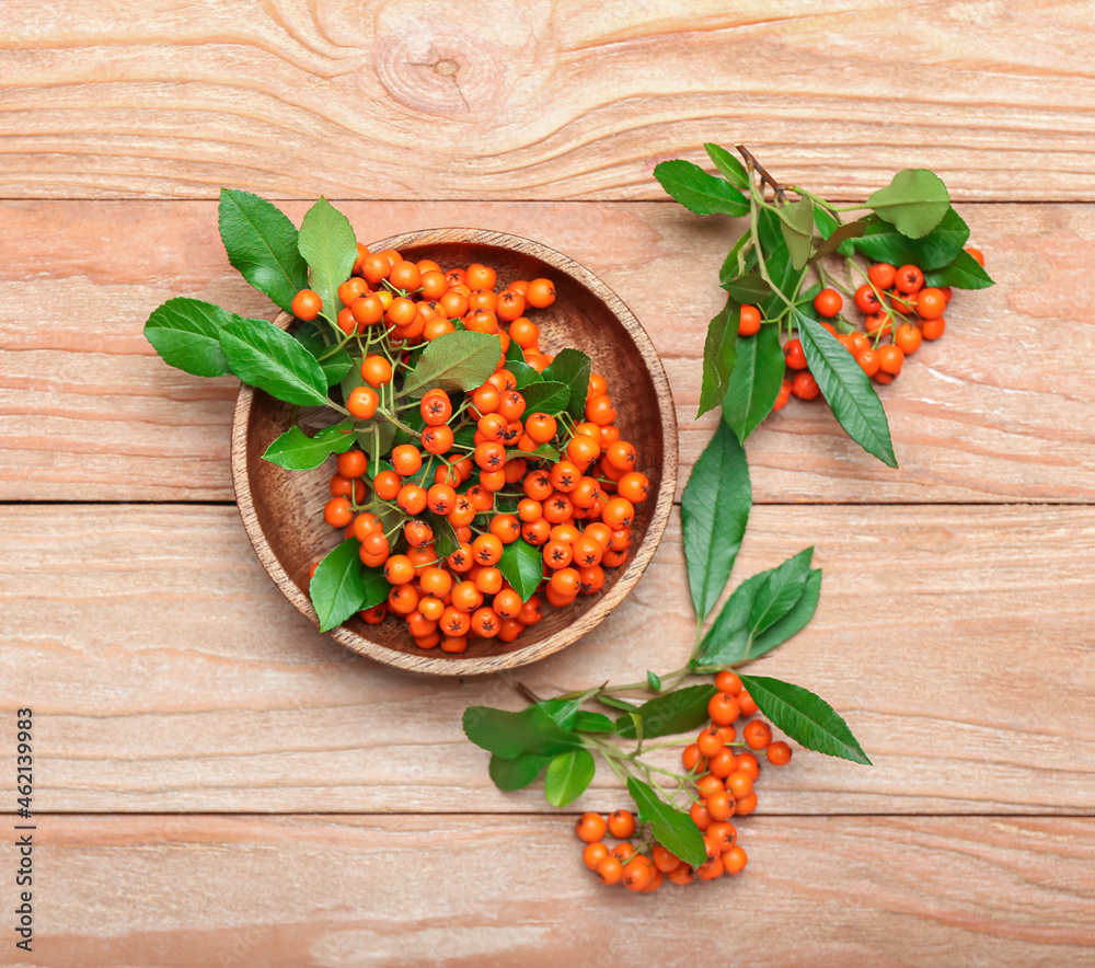 Bowl with ripe rowan berries on wooden background
