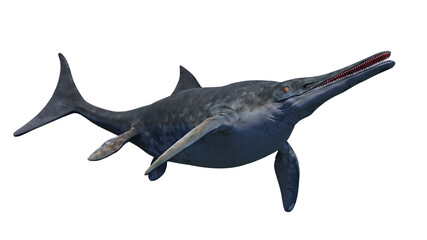 Wall Mural - Ichthyosaur, extinct marine reptile from Early Triassic to Late Cretaceous, isolated on white background