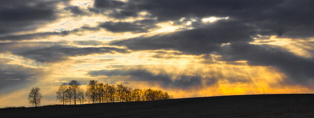 Wall Mural - horizon gloomy sky at sunset in autumn