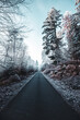 chemin de forêt en hiver