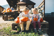Family With Kids At Fall Season. Preschool Children Sitting In Pile Of Pumpkins At Local Farm Market And Picking Pumpkin On Halloween Or Thanksgiving Holiday.