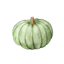Green Pumpkin Watercolor Drawing. Thanksgiving Card Template. Fall Theme, Halloween Background