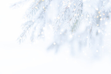 Wall Mural - blurred unfocused background of snowy branches of christmas tree and falling snow.