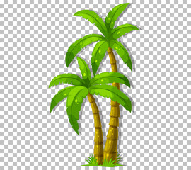 Poster - Palm tree on transparent background