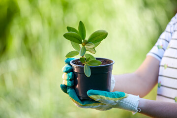 Wall Mural - young woman with green plant