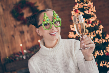 Wall Mural - Photo of young attractive lady eyewear christmas tree costume party drink alcohol cheers miracle indoors