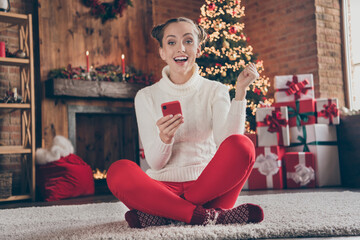 Wall Mural - Full size photo of young girl happy positive smile sit floor use smartphone christmas time atmosphere decor indoors