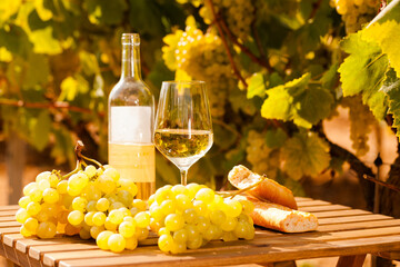 Wall Mural - glass of White wine ripe grapes and bread on table in vineyard