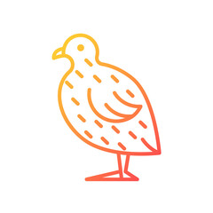 Wall Mural - Japanese quail gradient linear vector icon. Coturnix japonica. Domestic bird. Quails farming for meat and eggs. Thin line color symbol. Modern style pictogram. Vector isolated outline drawing