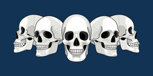 Skull Head Profile. Human Skulls Profiles Picture, Front And Side Scull Bones, Skeleton Faces, Different Sides Dead Man Heads Cartoon Drawing Vector