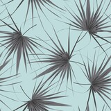 Fototapeta Dmuchawce - Tropical seamless pattern with exotic black white fan palm leaves. Blue background.
