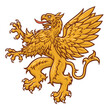 Vector heraldic rampant griffin on the white background.