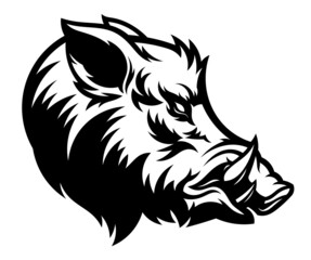 wild boar head black and white