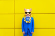 © VISTA by Westend61 - Man wearing vibrant blue suit, pig mask and large golden chain standing in front of yellow wall