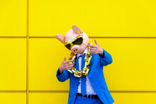 Man Wearing Vibrant Blue Suit, Pig Mask And Large Golden Chain Posing Against Yellow Wall