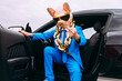© VISTA by Westend61 - Funny character wearing animal mask and blue business suit showing middle finger from car