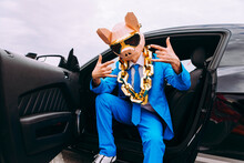 Funny Character In Animal Mask And Blue Business Suit Sitting In Car And Gesturing