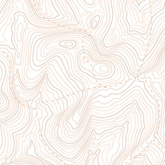 Wall Mural - topographic map pattern, topography line map. vector stock illustration