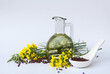 canola oil, flowers and seeds isolated white background