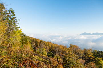 Canvas Print - 高原から見る雲海と八ヶ岳