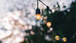 Electric light bulbs at the twilight, Nature background, Party decoration or camping concept.
