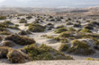 Landscape of a semi-desert with arid nature