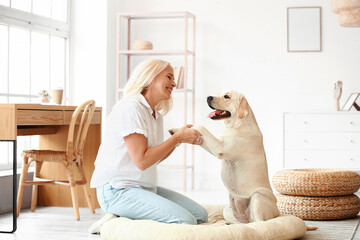 Wall Mural - Mature woman holding paws of cute Labrador dog at home