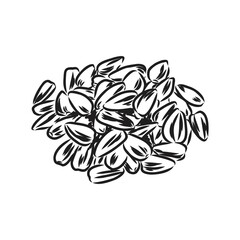 Hand drawn vector illustration of sunflower seeds. Elements for design of posters, cards, textiles, recipes, cafe menu.