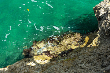 Wall Mural - Turquoise clear water.