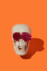 human skull with flower