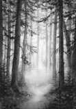 Watercolor monochrome illustration with misty forest